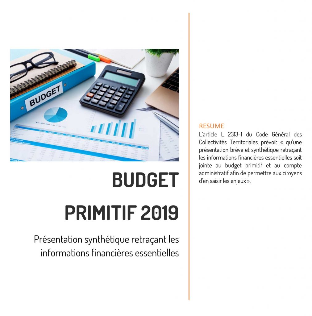 Budget prévisionnel 2019