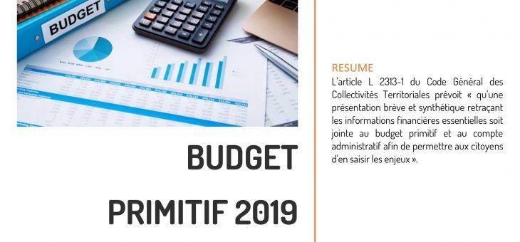 Comptes 2018 et budget prévisionnel 2019