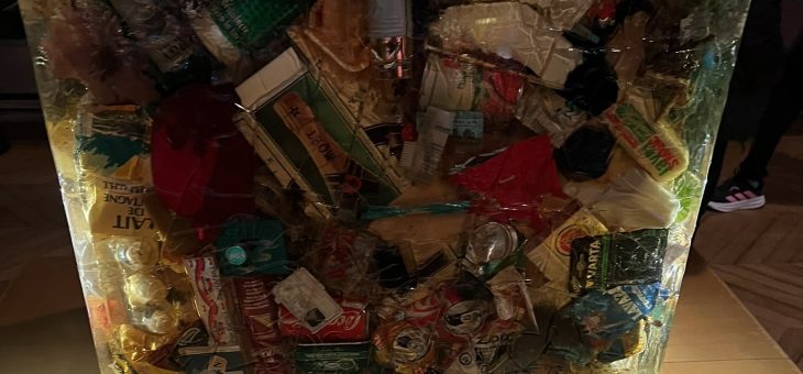 PETITE HISTOIRE DE NOS POUBELLES