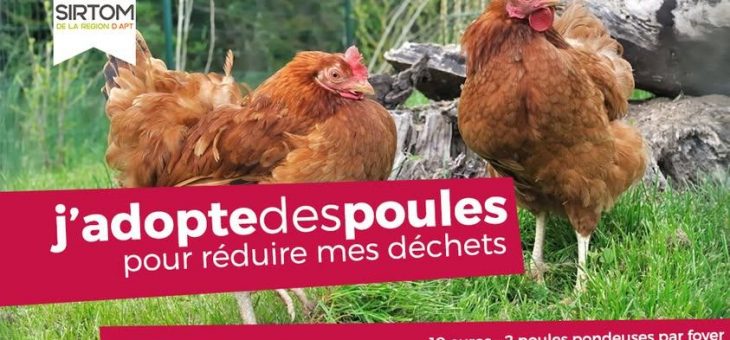 OPÉRATION POULES RENOUVELÉE LE 24 JUIN